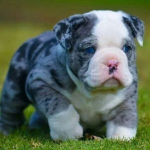 Meet your Posher, Keisha